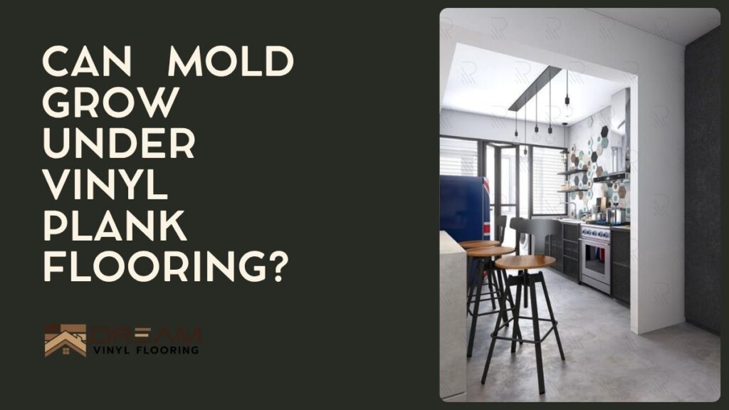 Can Mold Grow Under Vinyl Plank Flooring